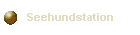 Seehundstation