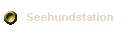 Seehundstation